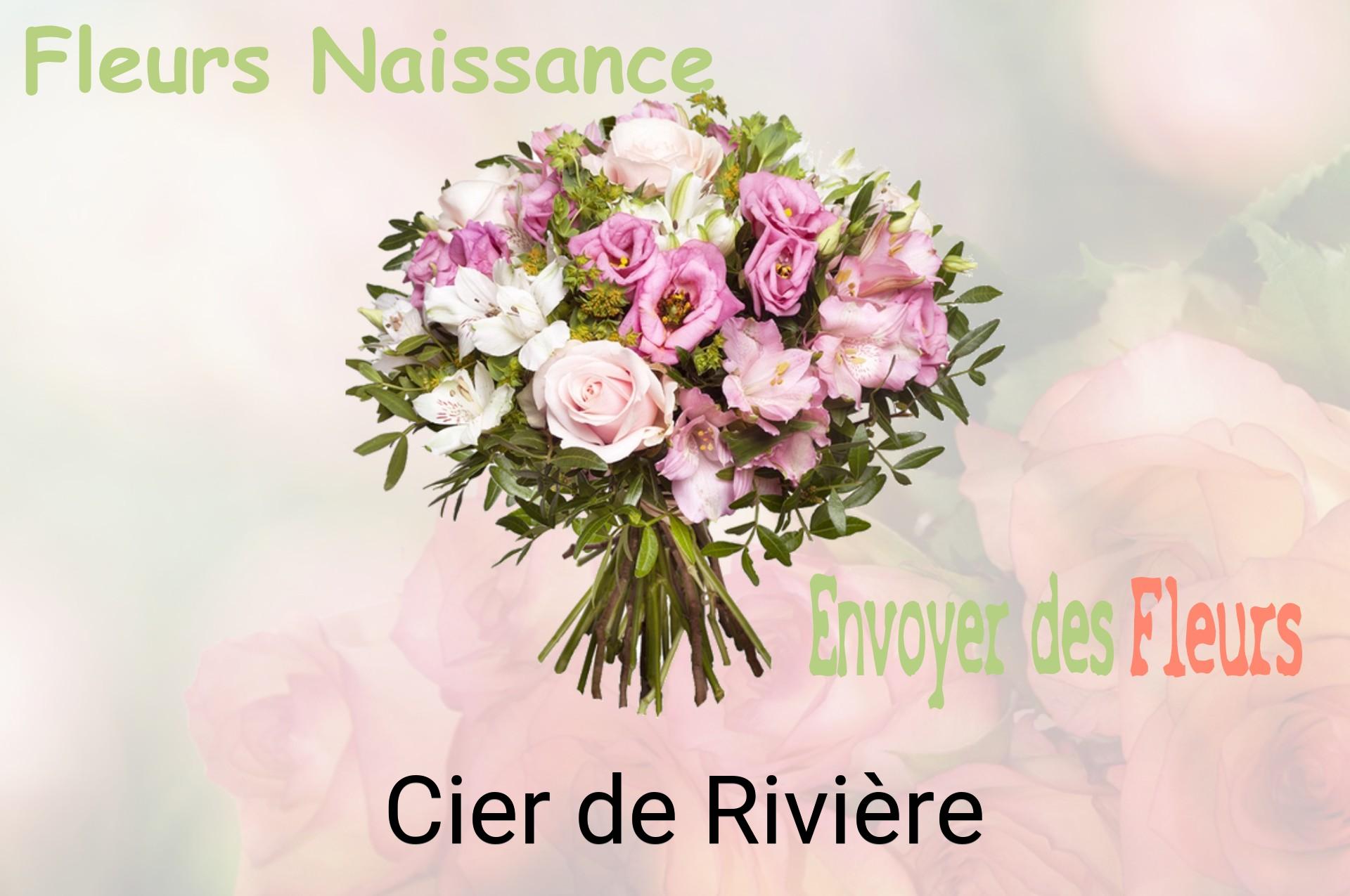 Bouquet de fleurs de naissance livré à Cier-de-Rivière