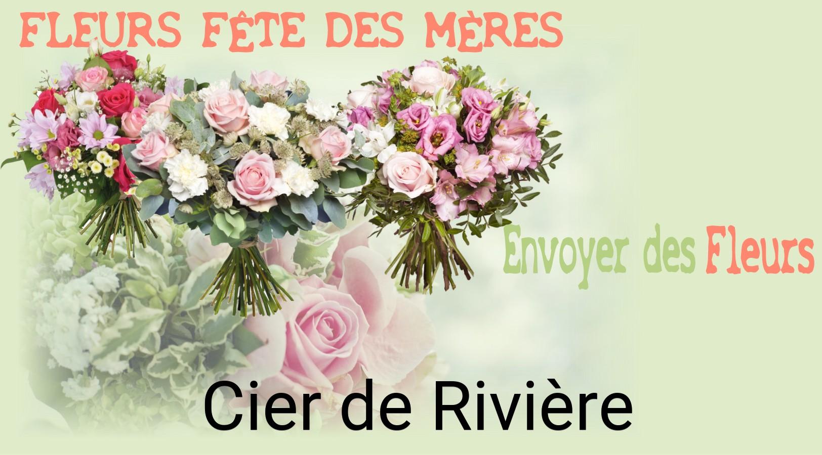 Bouquet de Fête des Mères livré à Cier-de-Rivière