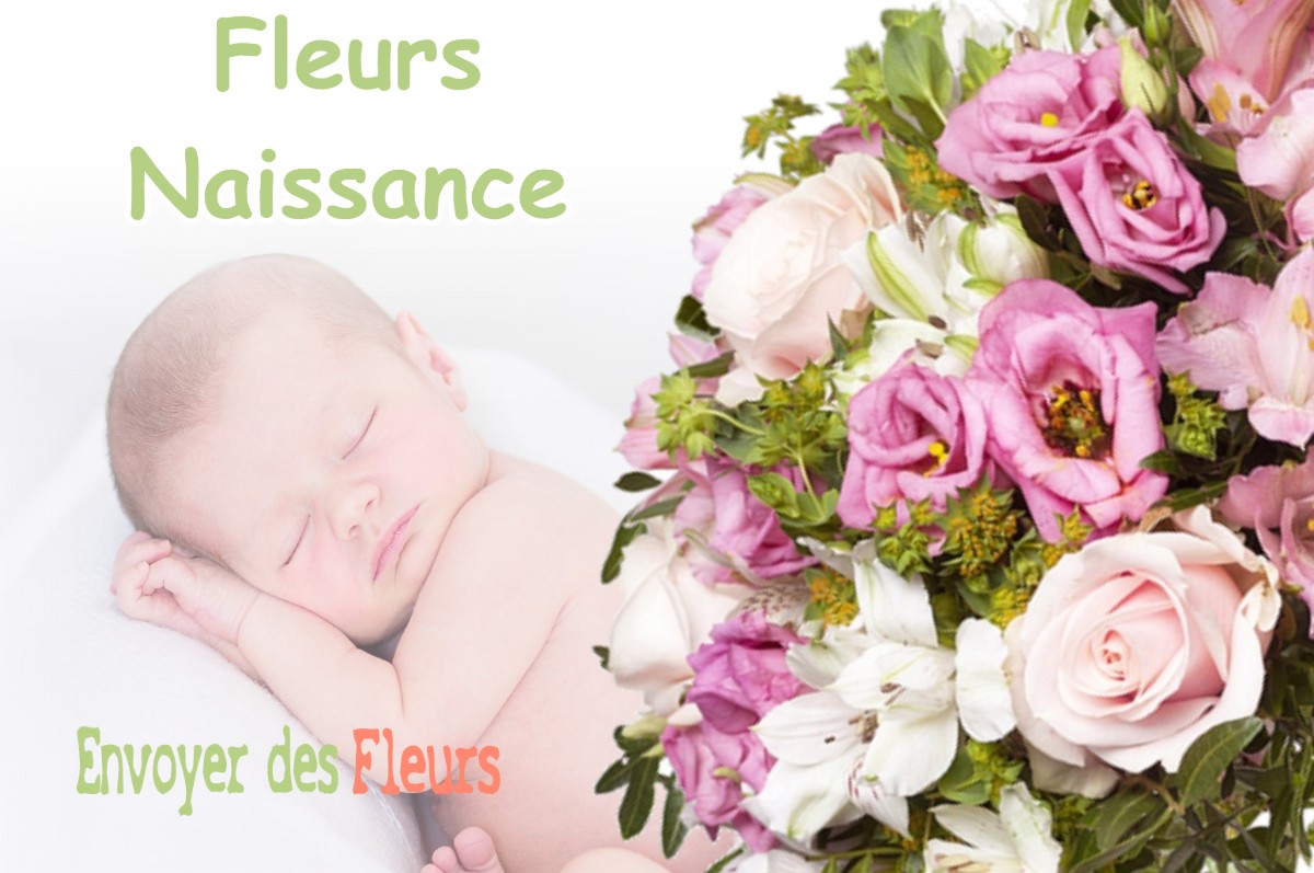 lIVRAISON FLEURS NAISSANCE à CIER-DE-RIVIERE